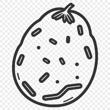 A simple illustration of a potato, suitable for vector graphics design.