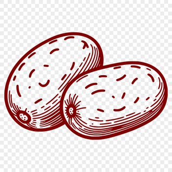 An illustrated representation of a single potato, ideal for graphic design and DIY projects.