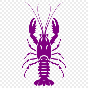 Free Shrimp SVG, PNG, PDF And DXF Files