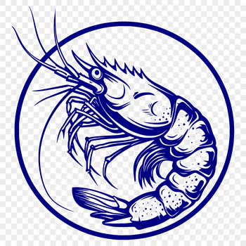 A detailed illustration of a shrimp in full body view.