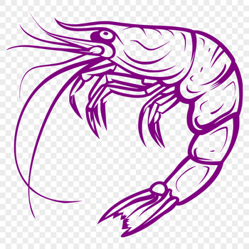 Artistic Prawn - For Laser Project