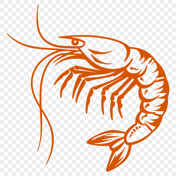 Free Beautiful Prawn Vector Craft File