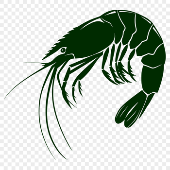A full-body illustration of a marine animal, depicted in a simplified style suitable for use as clip art.