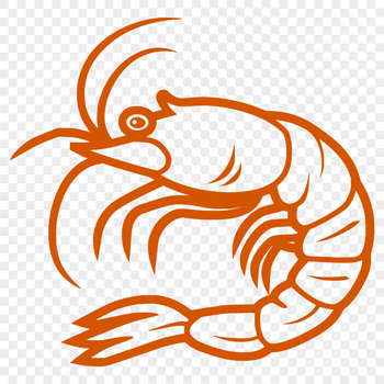 A simple line drawing of a full-body shrimp.