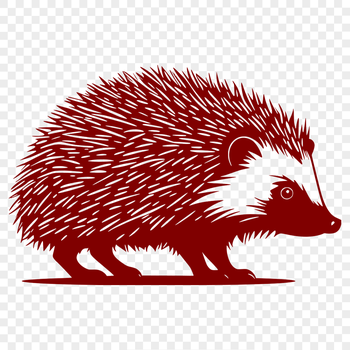 A colorful illustration of a hedgehog in various poses.