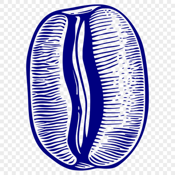 A single coffee bean illustration in vector format, suitable for graphic design projects.