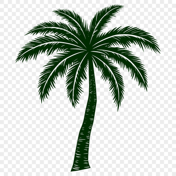 A group of tall palm trees swaying in the breeze against a bright blue sky.