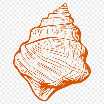 A high-quality vector illustration of a seashell suitable for digital and commercial use.