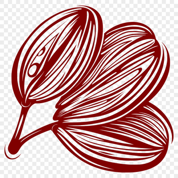 A single coffee bean in a stylized vector design, suitable for digital use.