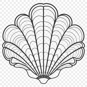 A stylized illustration of a seashell, suitable for vector graphics and digital designs.