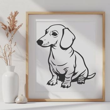 Beautiful Dachshund - PNG Format