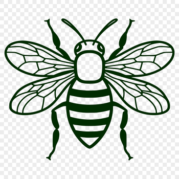 A detailed illustration of a single bee with its body and wings visible, suitable for gardening or crafting projects.