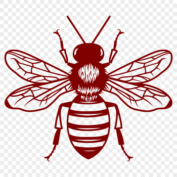 Illustration of a detailed bee in full body pose.