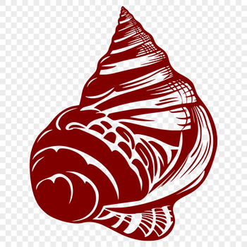 A detailed illustration of a seashell, suitable for crafting and design projects.