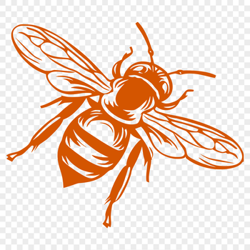 A colorful illustration of a bee in full body view, suitable for gardening and craft projects.