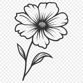 A vector design featuring a single stem wild flower with layered petals.