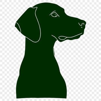 A high-quality vector illustration of a Weimaraner dog.