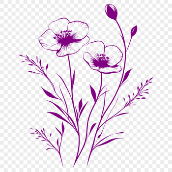 A detailed illustration of a wild flower with delicate petals and center details.