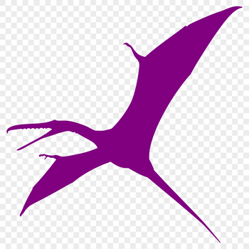 A prehistoric pteranodon in full body silhouette, suitable for vector design.