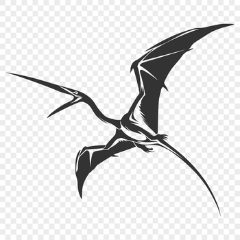 A full-body illustration of a pteranodon, a prehistoric flying reptile from the Cretaceous period.