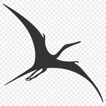 A prehistoric Pteranodon dinosaur in full-body silhouette.