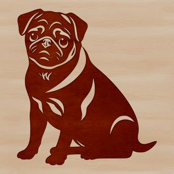 A sitting pug dog in a compact breed profile.