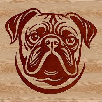 A cute Pug dog's head, created as vector art.
