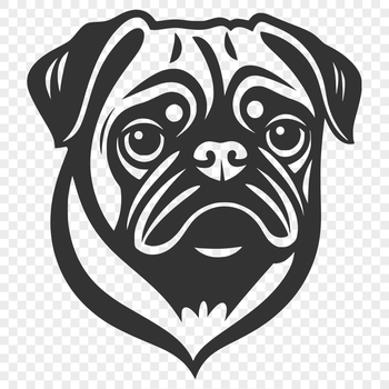 A cute, compact dog breed with a distinctive head shape.