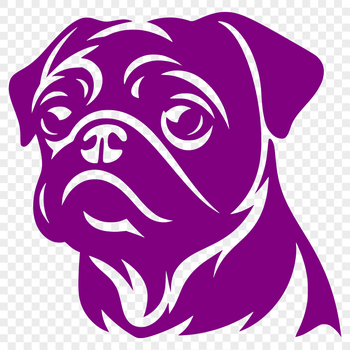 A playful pug dog with a wrinkled head, suitable for vector design and personal use.