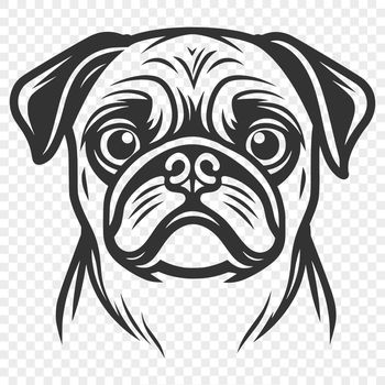 A close-up illustration of a pug's head with wrinkled skin and a short snout.