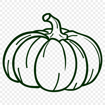 Beautiful Squash PDF