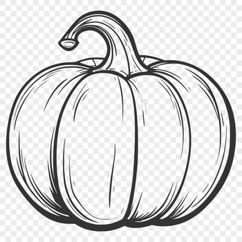 Illustrative representation of a pumpkin squash for graphic design projects.