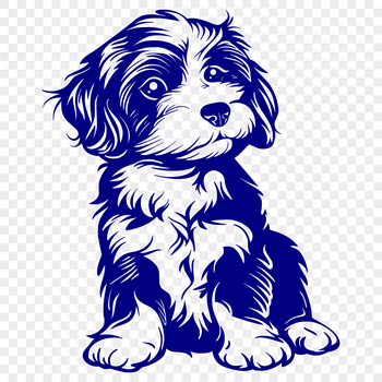 A full-body illustration of a sitting Havanese dog with its fur and features accurately depicted.
