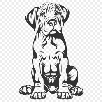 A full-body illustration of a Great Dane sitting comfortably.