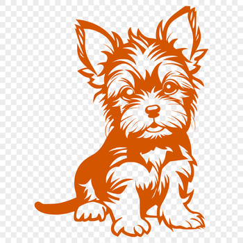 A small breed dog sitting on its haunches, with a compact body and erect ears.