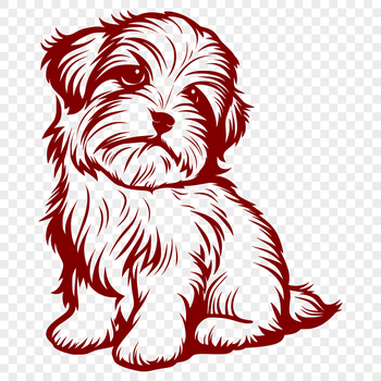 A small breed dog with long hair sitting in a relaxed position.