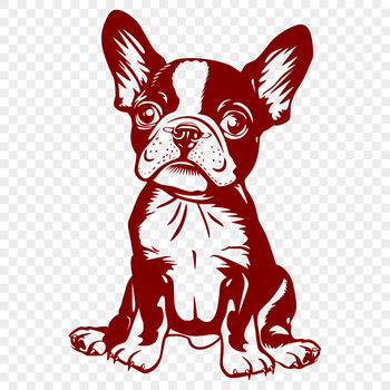 A stylized illustration of a sitting Boston Terrier dog.