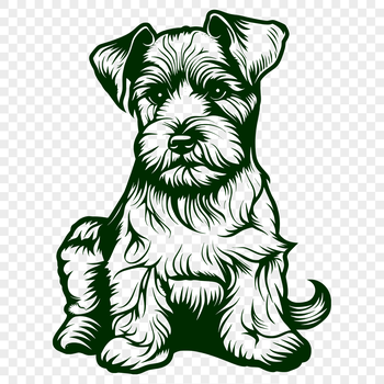 A stylized illustration of a sitting miniature schnauzer dog from the side, suitable for vector design.