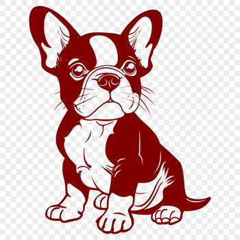 A close-up illustration of a Boston Terrier sitting in a relaxed position.