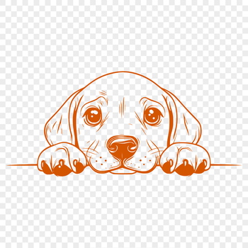 A profile portrait of a Weimaraner dog with its head peeking out from behind a fence.
