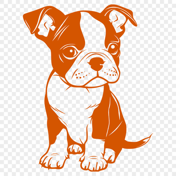 Boston Terrier dog breed illustration in full body sitting position.