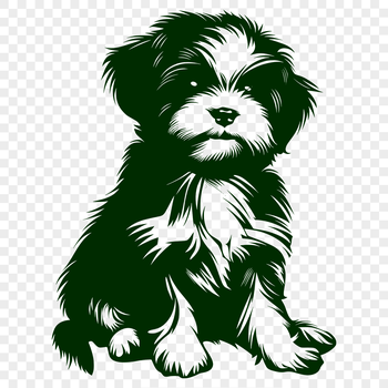 A sitting Shih Tzu dog in full body view.