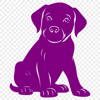 A sitting Labrador Retriever with a full body view, depicted as a vector image.