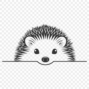 A small hedgehog peeking out from behind a leaf, created as a vector graphic.