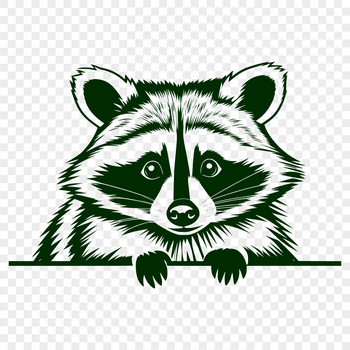 A digital illustration of a raccoon peeking out from behind a tree, suitable for vector art and design projects.