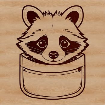 A masked raccoon peeking out from behind a tree trunk.