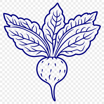 A simple vector illustration of a radish, suitable for commercial or personal use in various projects.