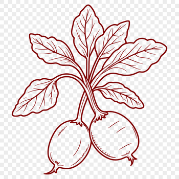 An SVG image of a single radish, suitable for various applications.