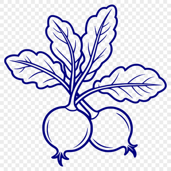 A close-up illustration of a radish in vector format.