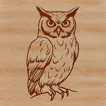 A perched owl sitting on a branch, depicted in detailed vector art.
